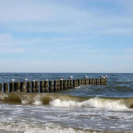 Esther * 우케리츠